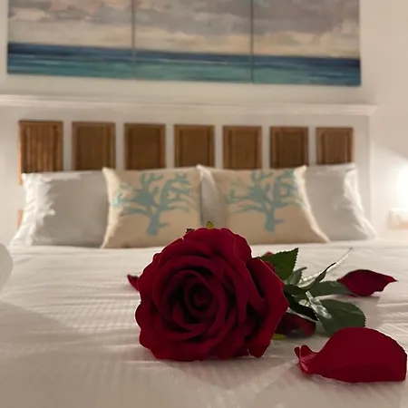 Luxury Poetto Apartmán