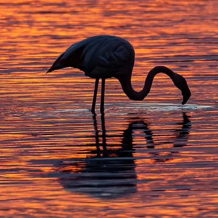 Apartamento Luxury Poetto