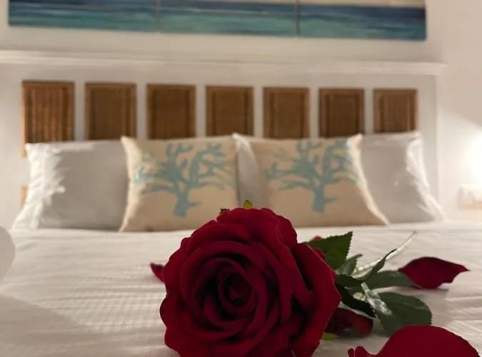 Luxury Poetto Apartamento